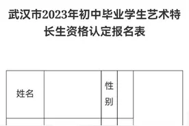 武汉2023年艺术特长生资格认定方案出炉图片