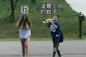 赶快下手，让蚊子在这个4月醒不过来！图片