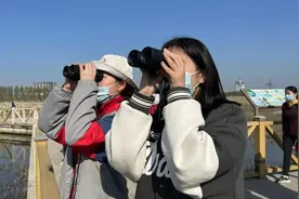 “爱鸟周”来了！金山这群人开启了一场“寻鸟之旅”图片