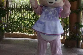 排队5小时、互动2分钟，与玲娜贝儿拥抱背后图片