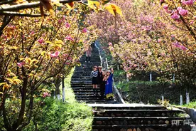 【春日里的中国】昔日“小煤窑”变身乡村旅游网红地图片