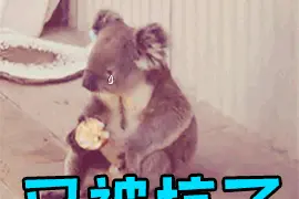 换了好几款天气APP，预报都不准，咋回事？图片