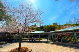 闵行公园即将变身，将打造闵行“航天精神”新地标图片