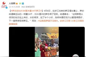 笋农挖出长84厘米重34斤笋王 网友：这就是笋届天花板图片