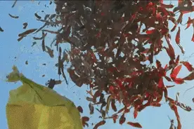 无辣不欢有其始图片