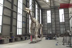 它若没有灭绝 大象当不了最大的陆生哺乳动物图片