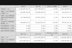 海陆重工：2022年净利润3.37亿元 同比增长2.12%图片