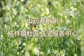 冷热交替、湿气渐重，奉上一道“山药薏米粥”助您调养脾胃，健脾补肺！丨杏林之声图片