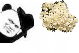 上海街头这股“不可描述”的味道又来了！专家：忍忍吧，其他优点突出图片