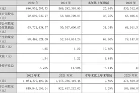 显盈科技：2022年净利润同比增长36.25% 拟10转8股派2元图片