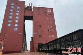 【绿色中国】天津港：一座中国港口的“绿色之旅”图片