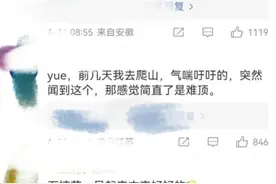 石楠花被“骂”上了热搜！图片