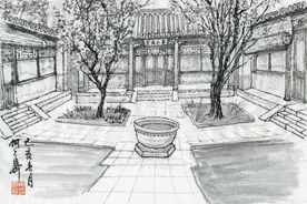 回忆四合院里栽种的那些庭院树图片