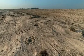 CNN：卡塔尔荒漠中有一处神秘岩石艺术宝库 包含什么内容难以破解图片