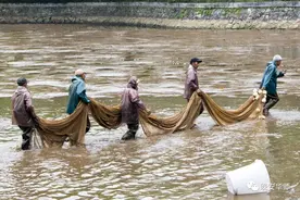 想养“异宠”吗？先看完这篇再决定吧图片