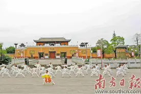 一招一式 刚柔并济图片