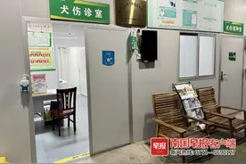 8岁男孩被狗抓伤，患上狂犬病20天后死亡图片