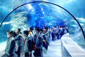 赏花、游园、探寻博物馆，沪上中小学生快乐“春游”图片