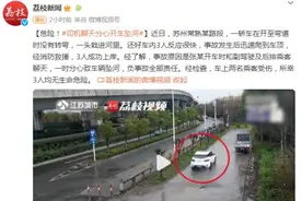 危险！司机因聊天分心，结果开车坠河图片