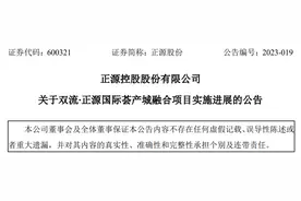 正源控股股份有限公司公布双流∙正源国际荟产城融合项目实施进展图片