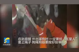 滨州：消防员夜间出动 拯救下水道里的“汪星人”图片