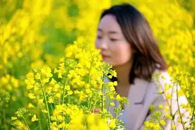 渭滨区的油菜花迎来盛花期 快去柘沟村邂逅春天吧！图片