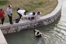 黑衣男子想“跑”，网友不答应图片