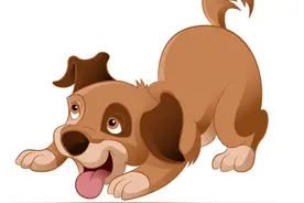 青未了|夕阳下的老狗图片