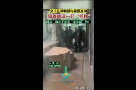 女子在动物园与猩猩互动，隔着玻璃一起“摇摆”图片