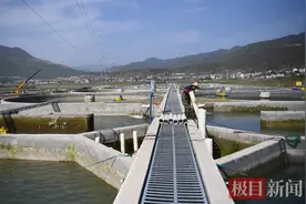 特色养殖“鲟”出致富路，湖北保康投资3.5亿元引进鲟鱼养殖项目图片