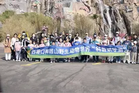 走进野生动物园，探索神奇大自然！图片