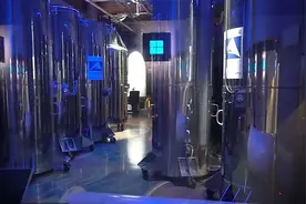 盘点人类追求永生的三种前沿技术图片