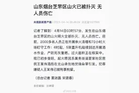 烟台山火己被扑灭 无人员伤亡图片