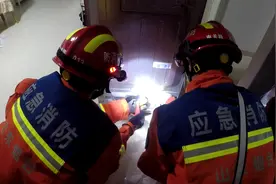 居民家中闯入一只蝙蝠  烟台消防员“一招制蝠”图片