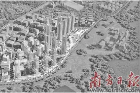 土地整备攻坚的“平湖密码”图片