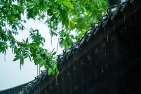 祛湿热、保肝护肝，岭南家庭常煲这个汤图片