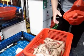 大猫腻！买2斤海鲜，塑料袋就值11元！记者厦门市场实测图片