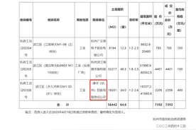 薇娅2200万拿地，买楼盖楼成大主播标配？图片