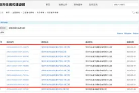 拯救打工人通勤路，龙华或将新增30个地铁站图片