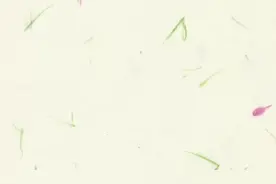 眼睛长“针眼”，真的是看了不该看的吗？图片