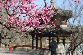 河北：春花烂漫出游时图片