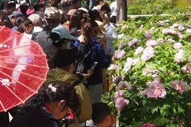 果然视频|济南沙尘退去阳光灿烂，公园处处赏花人图片