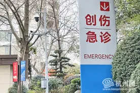 杭州男子惨遭蜜蜂围攻！他的身份竟还是专业养蜂人图片