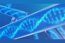 德高校研究团队：石器时代形成的基因影响人类寿命图片