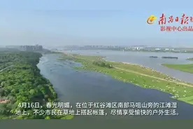 满目青绿！南昌版“呼伦贝尔大草原”上线图片