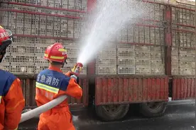 滨州：危“鸡”时刻 消防员为鸡“冲澡”降温图片