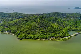 损害生态环境如何赔偿？来看江苏“新解法”图片