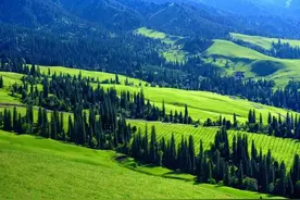 总是哈欠连天？中医教你几招巧应对图片