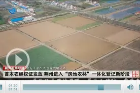 首本农经权证发放 荆州进入“房地农林”一体化登记新阶段图片