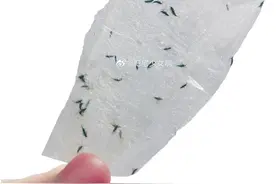 深圳天气转热 当心病媒生物出没图片